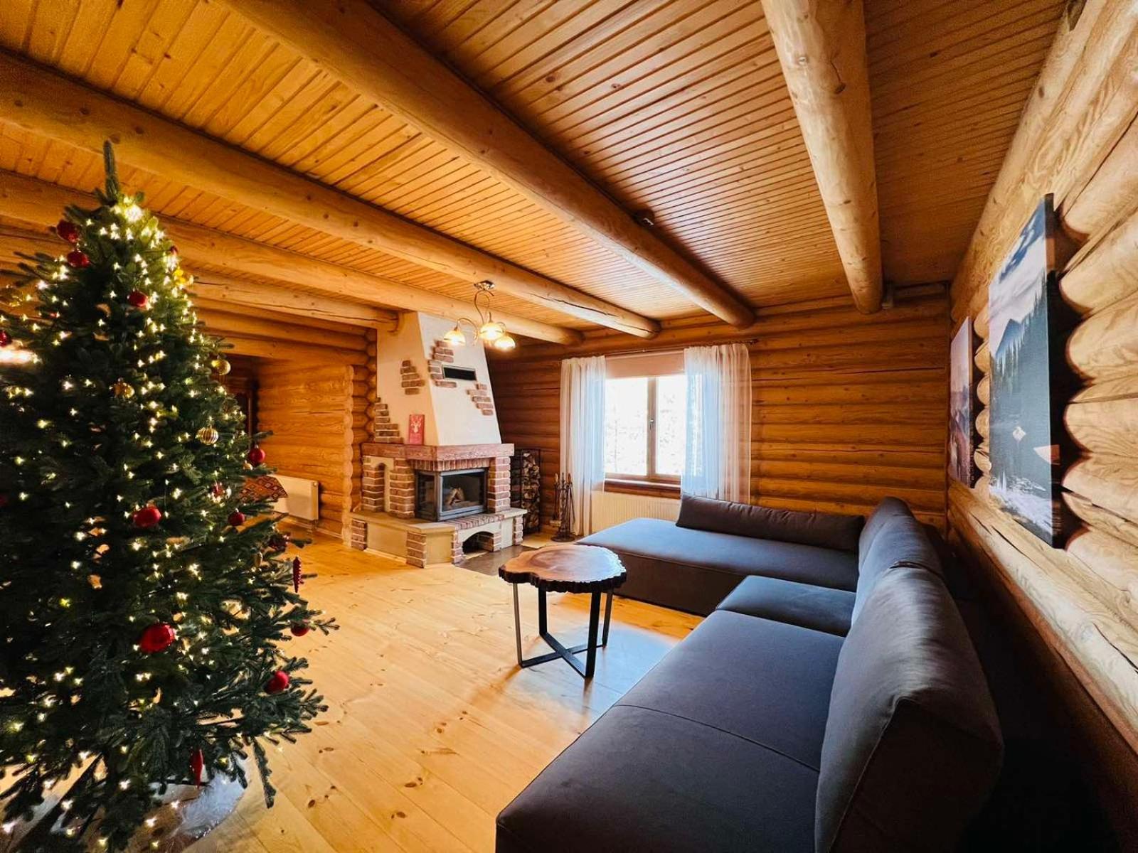 Villa Alpiyka スラブスク エクステリア 写真