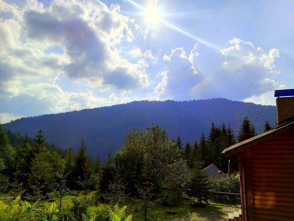 Villa Alpiyka スラブスク エクステリア 写真