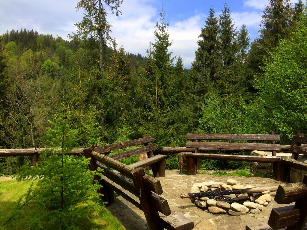 Villa Alpiyka スラブスク エクステリア 写真