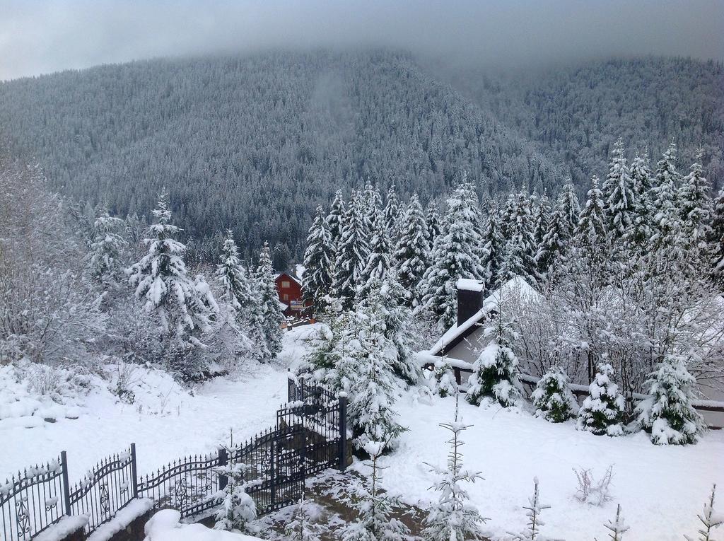Villa Alpiyka スラブスク エクステリア 写真