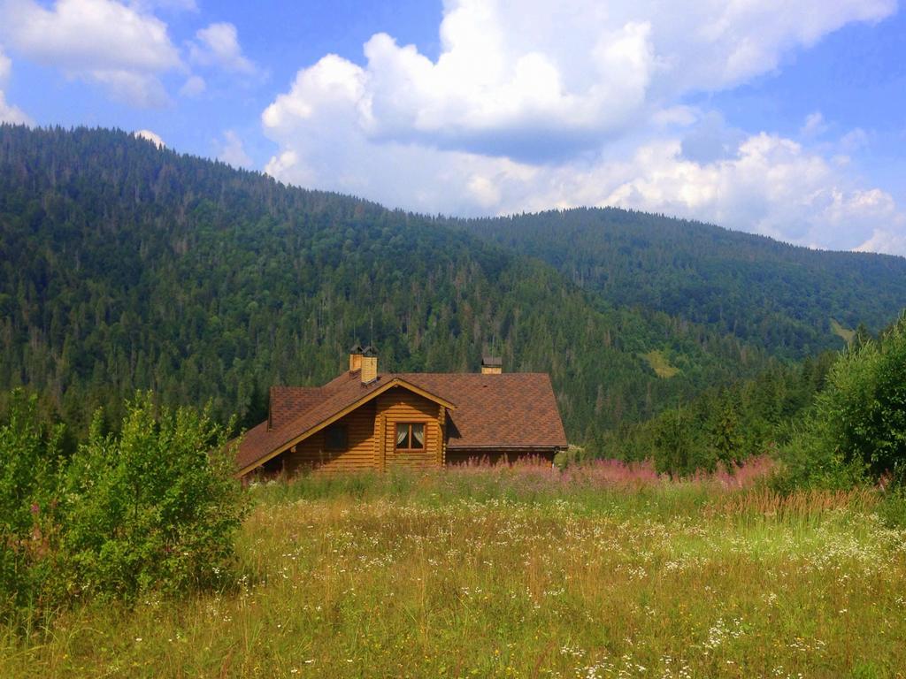 Villa Alpiyka スラブスク エクステリア 写真