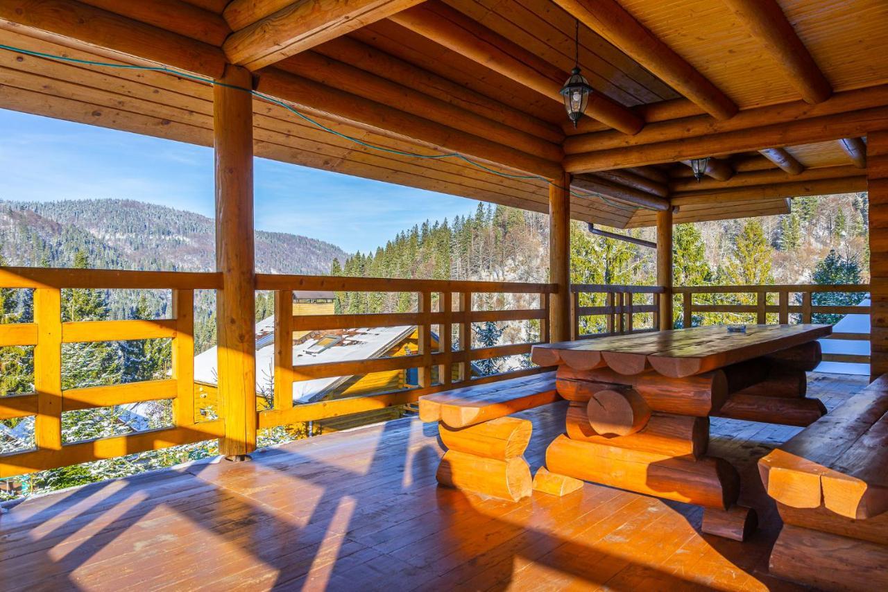 Villa Alpiyka スラブスク エクステリア 写真