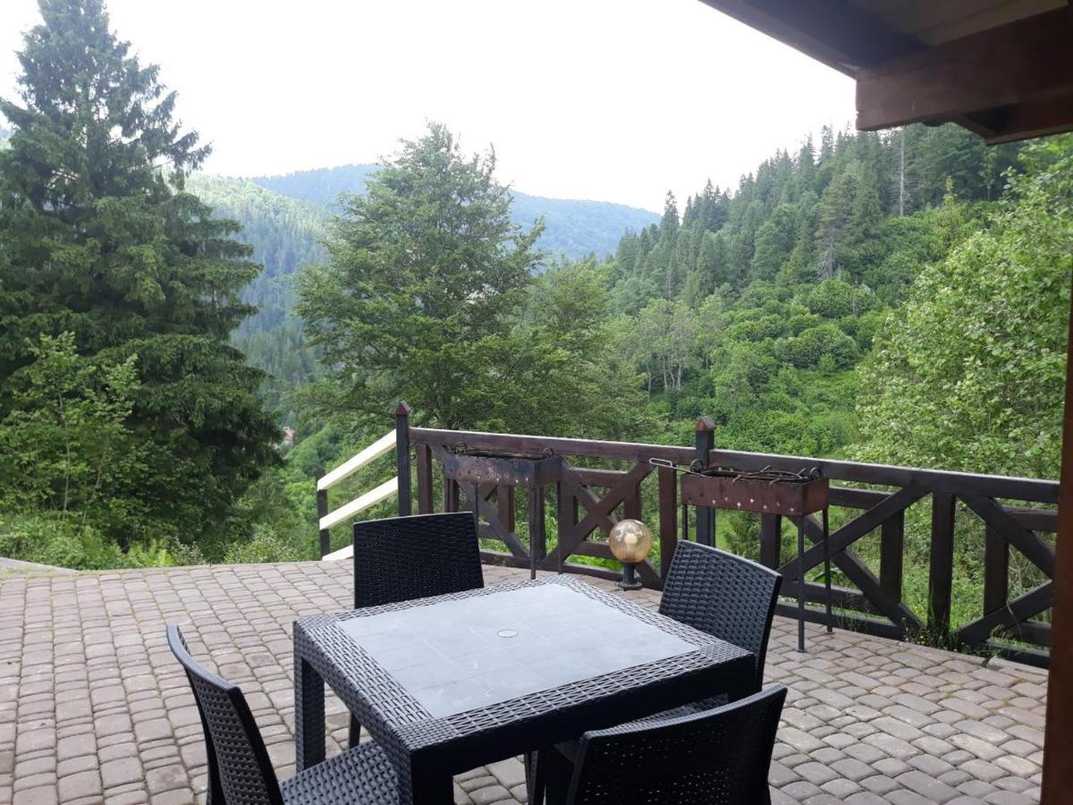 Villa Alpiyka スラブスク エクステリア 写真