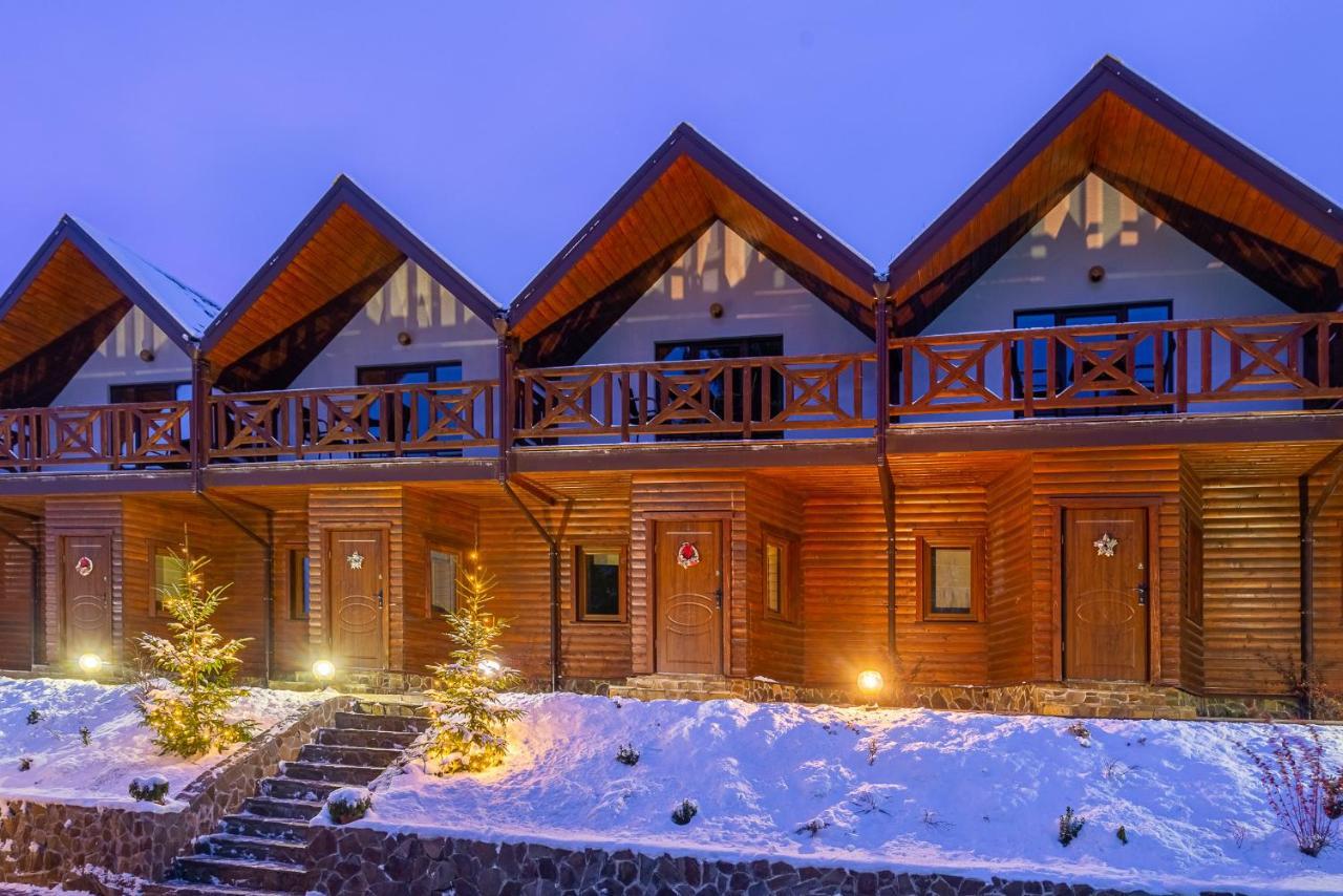 Villa Alpiyka スラブスク エクステリア 写真